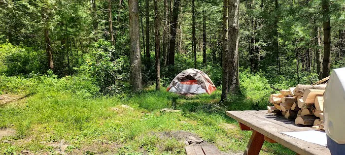 Primitive Campsite #11 0