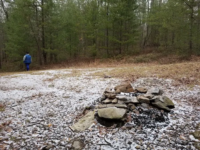 Primitive Campsite #11 1