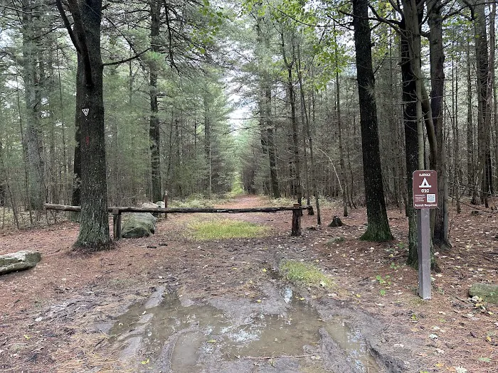 Primitive Campsite #10 1