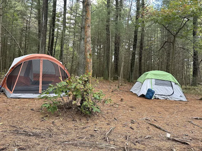 Primitive Campsite #10 0