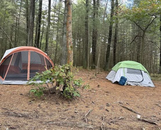 Primitive Campsite #10
