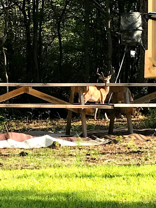 Pine Ridge Campground 4