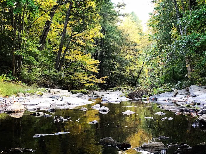 Conewago Campground 7