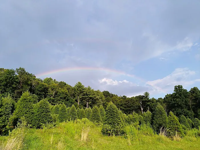 Conewago Campground 5