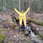 Primitive Campsite #8