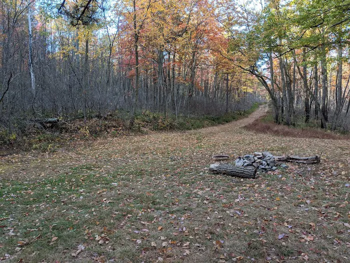 Primitive Campsite #8 3