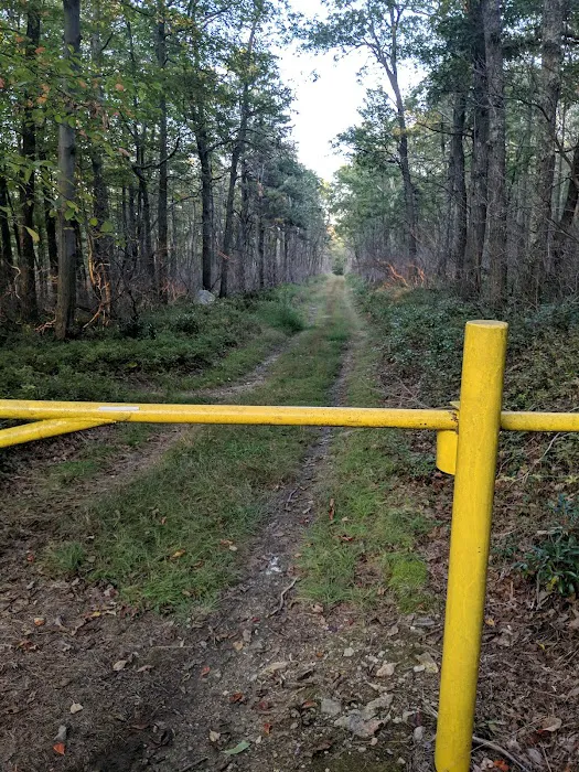 Primitive Campsite #8 4