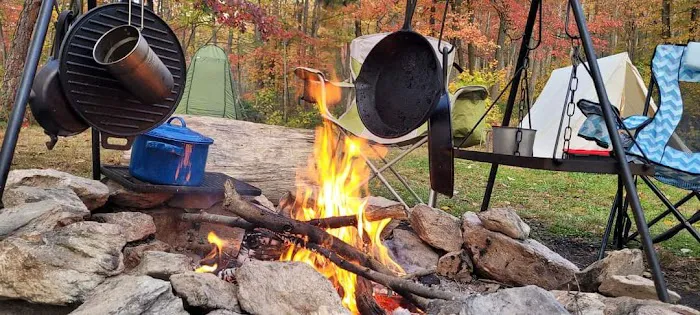 Primitive Campsite #8 6
