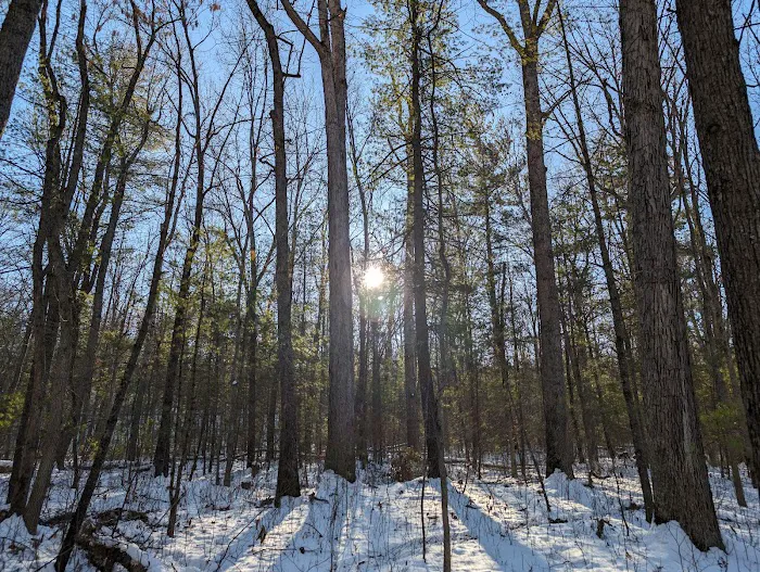Ice D Campsite 4