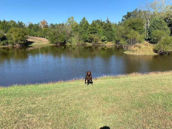 The Retreat at Shenandoah Meadows 1
