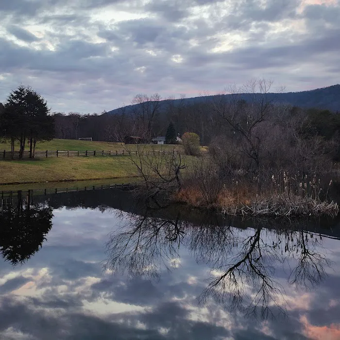 The Retreat at Shenandoah Meadows 9
