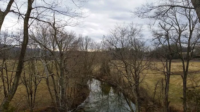 US Forestry Department 1