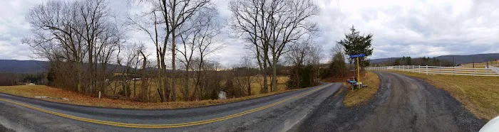 US Forestry Department 3