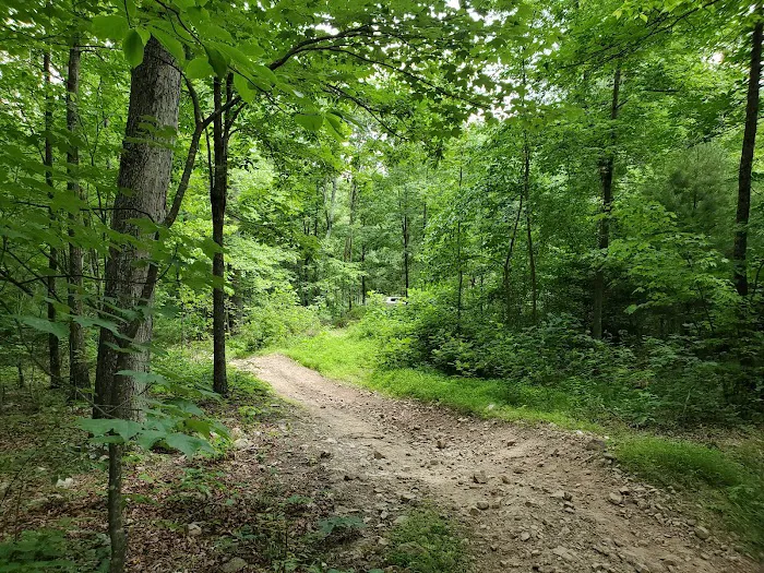 Peters Mill Run/Taskers Gap OHV System 2