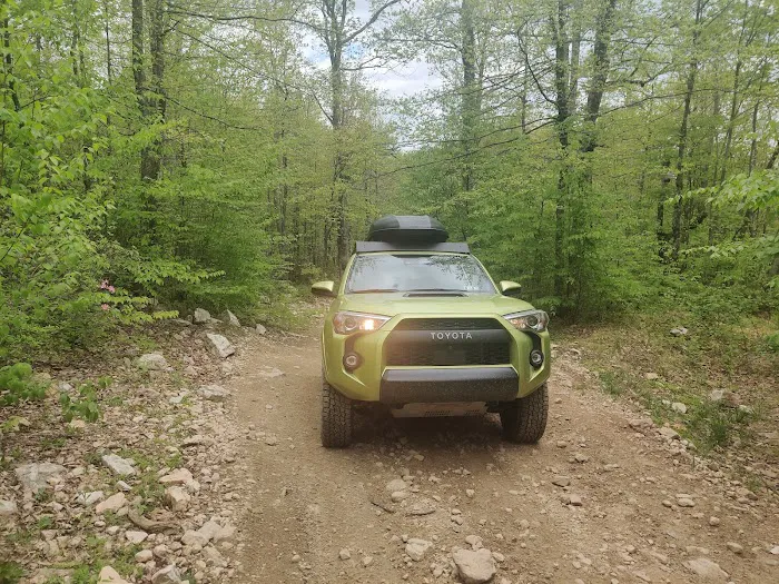Peters Mill Run/Taskers Gap OHV System 6
