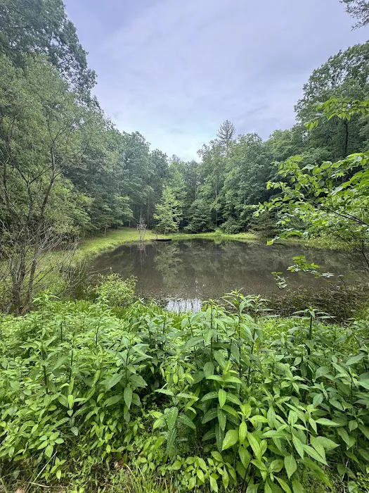Tomahawk Pond Campground 0