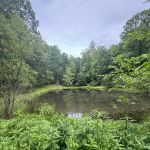 Tomahawk Pond Campground