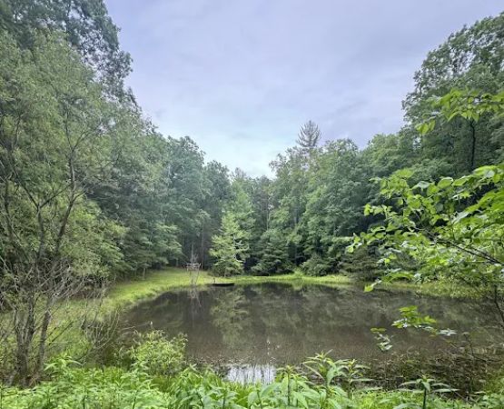 Tomahawk Pond Campground