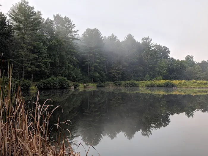 Tomahawk Pond Campground 2