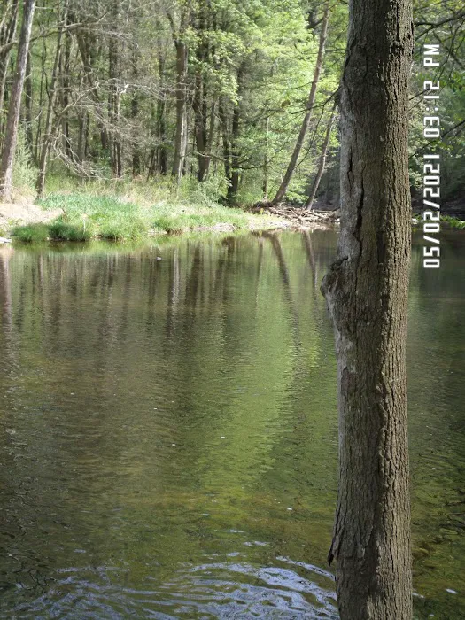 Blue Hole Day Use Area 4