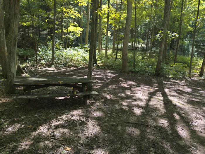 Camp Run Campground 2