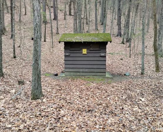 Camp Run Campground