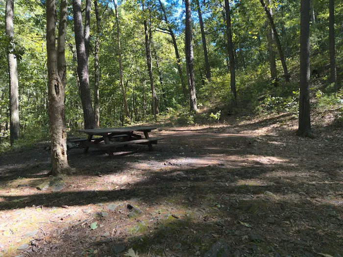 Camp Run Campground 4