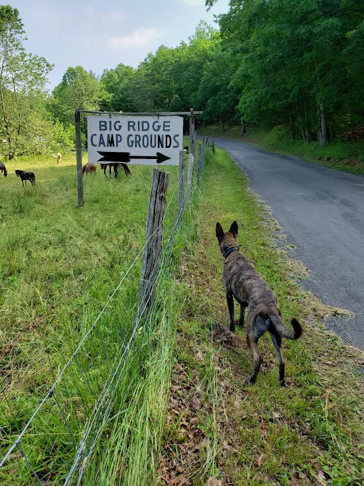 Big Ridge Campground 3
