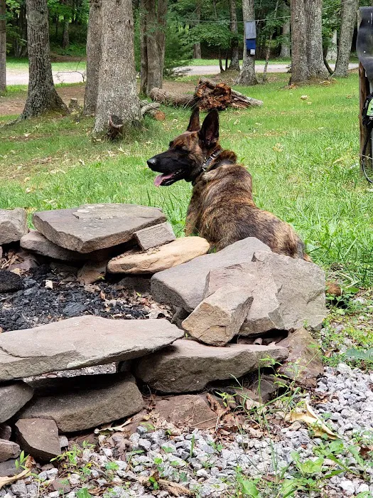Big Ridge Campground 4