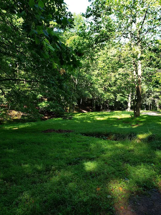 Big Ridge Campground 7
