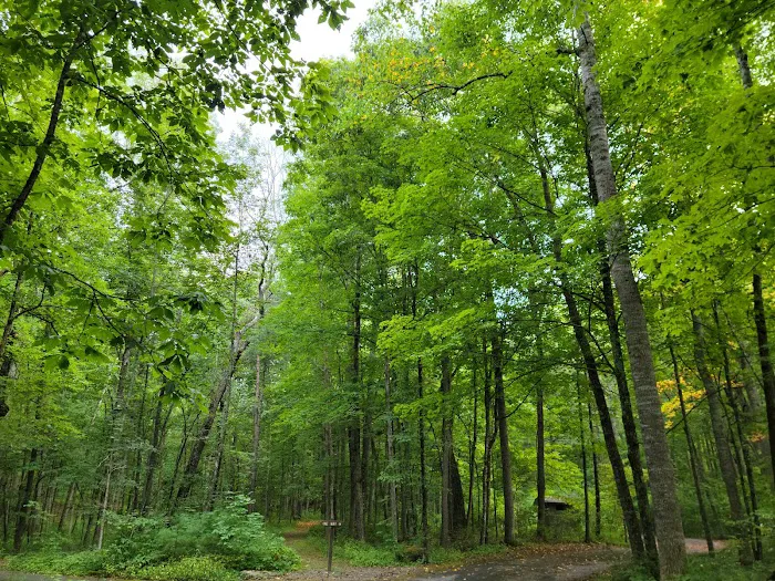 Brandywine Lake Campground 7