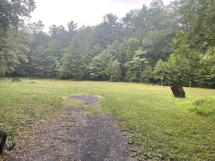 Brandywine Lake Campground 8