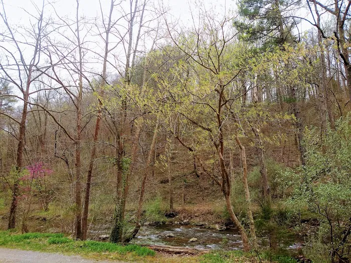 Gooney Creek Campgrounds 4