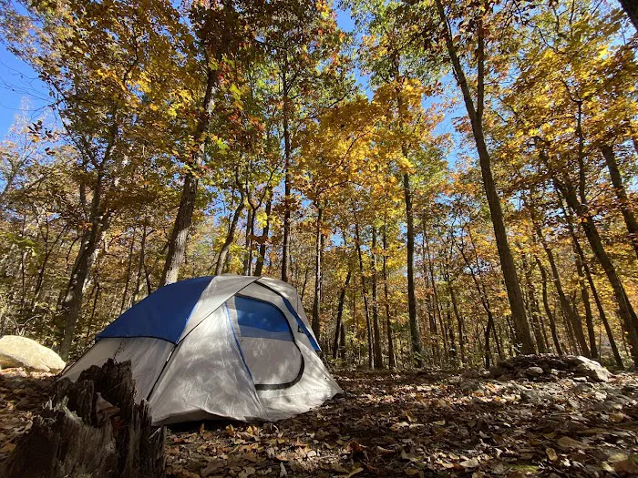 Elizabeth Furnace Family Campground 1