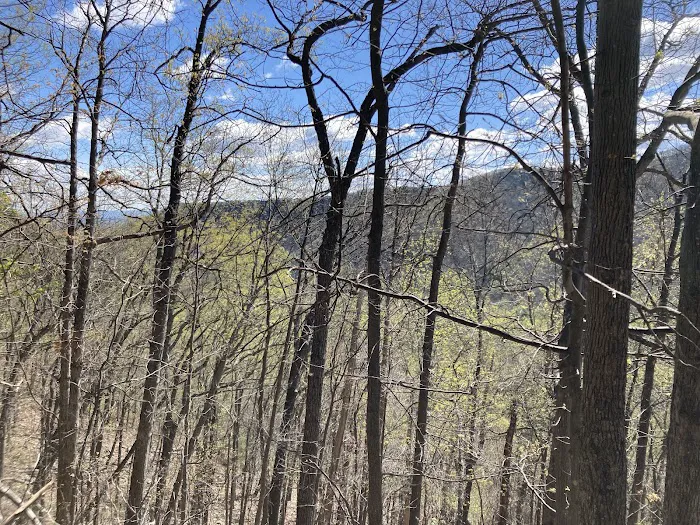 Elizabeth Furnace Family Campground 2