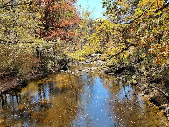 Elizabeth Furnace Family Campground 5