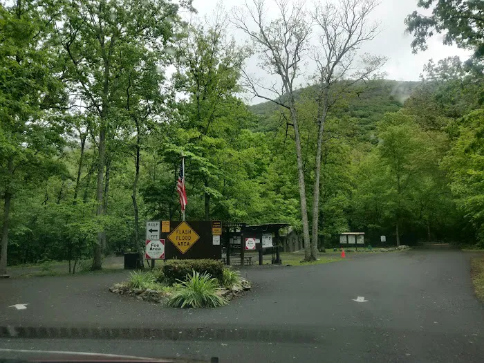 Elizabeth Furnace Family Campground 8
