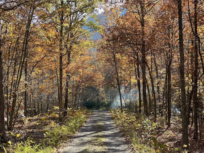 Elizabeth Furnace Family Campground 9