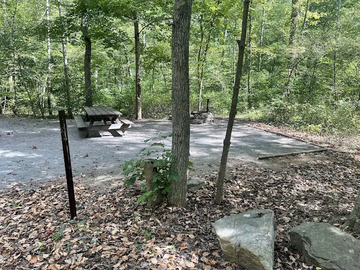Elizabeth Furnace Recreational Area 1