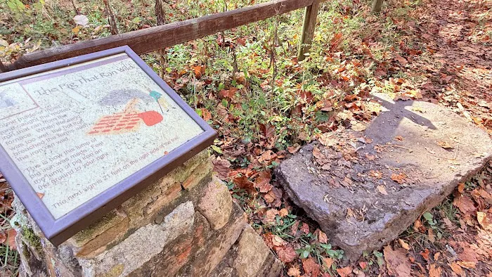 Elizabeth Furnace Recreational Area 5