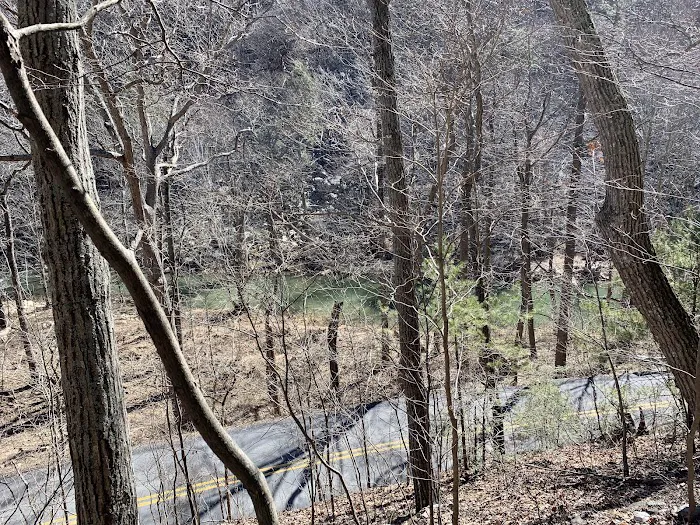Elizabeth Furnace Recreational Area 4