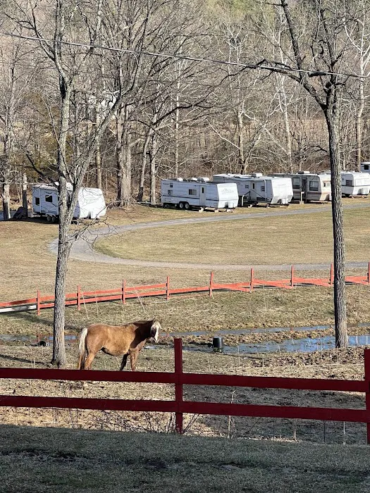 Cave Country Store & Campground 3