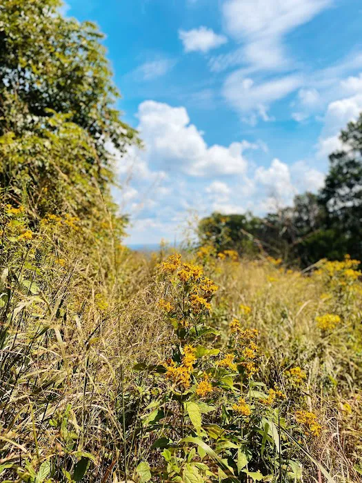 Blue Ridge Regional Park 4