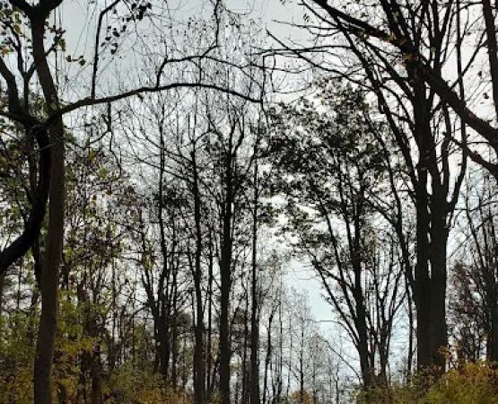 Blue Ridge Regional Park