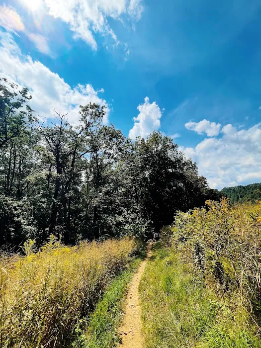 Blue Ridge Regional Park 2