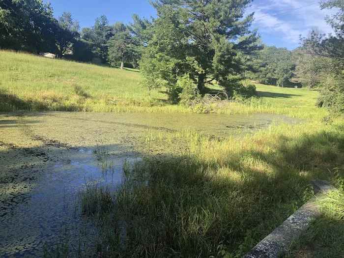 Mountain Lake Campground 7