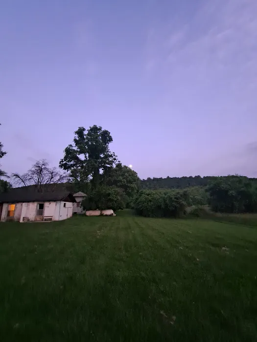 Mountain Lake Campground 9