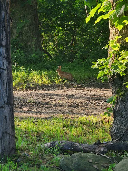 Sky Meadows Campground 9