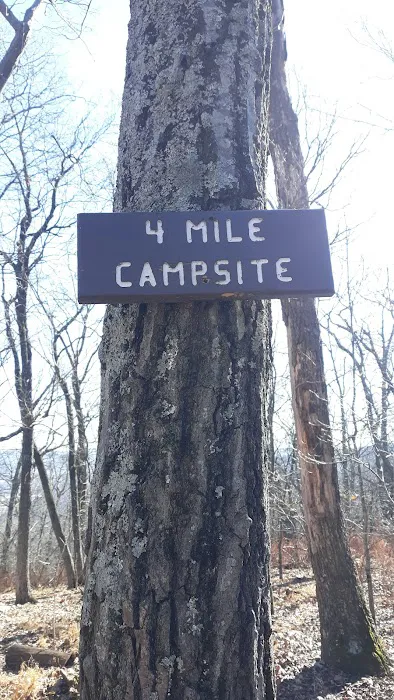 AT Campsite 6