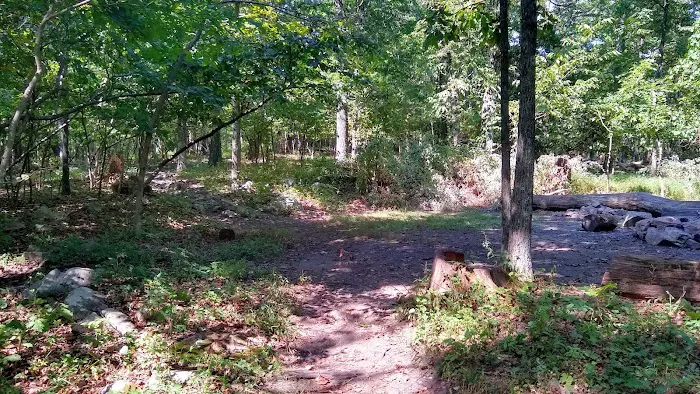 AT Campsite 9
